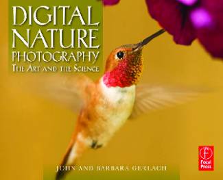 digital-nature-photography-the-art-and-the-science.jpg
