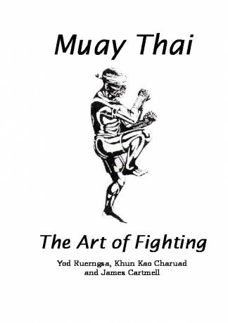 muay-thai-the-art-of-fighting.jpg