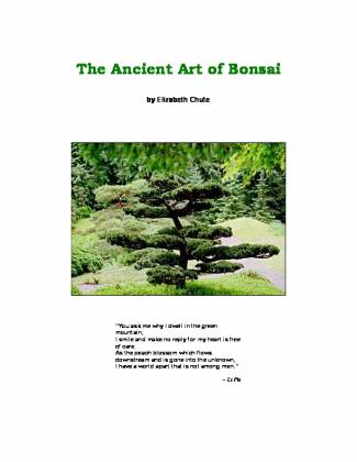 the-ancient-art-of-bonsai-growit-gold-garden-amp-landscape.jpg