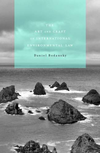 the-art-and-craft-of-international-environmental-law.jpg